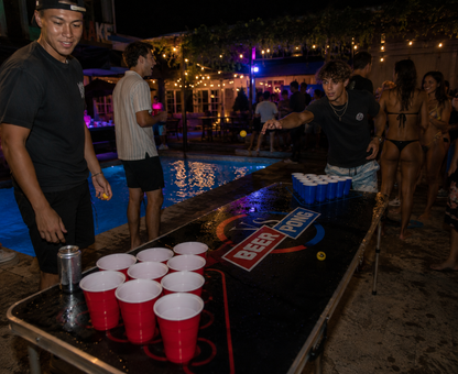 Beer Pong Table Transportable Game